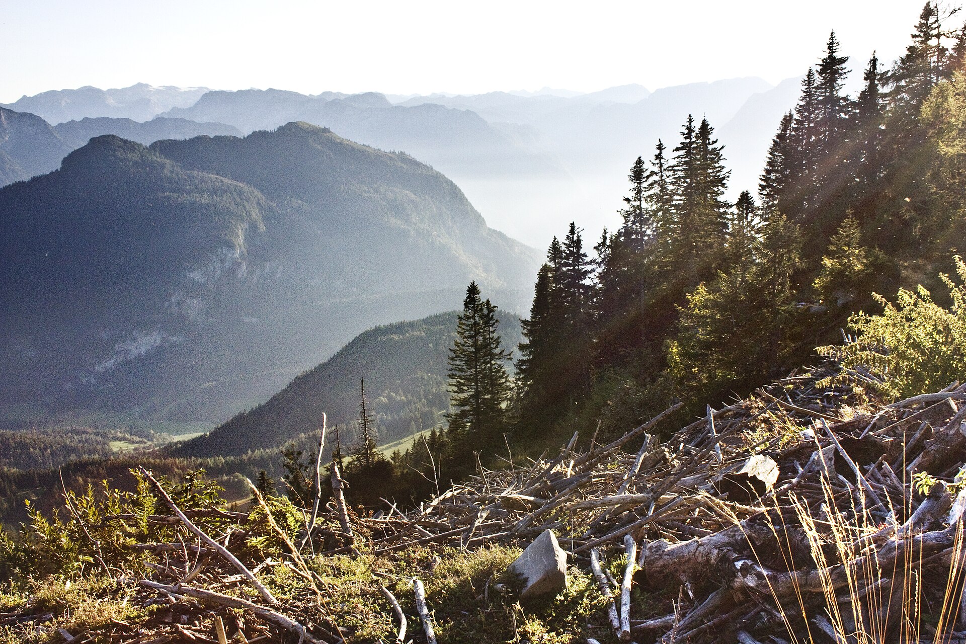 Alpenlandschaft und Berggipfel im Land Salzburg