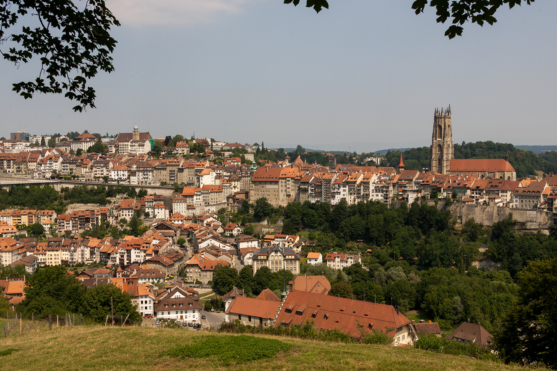 Landschaft in Freiburg