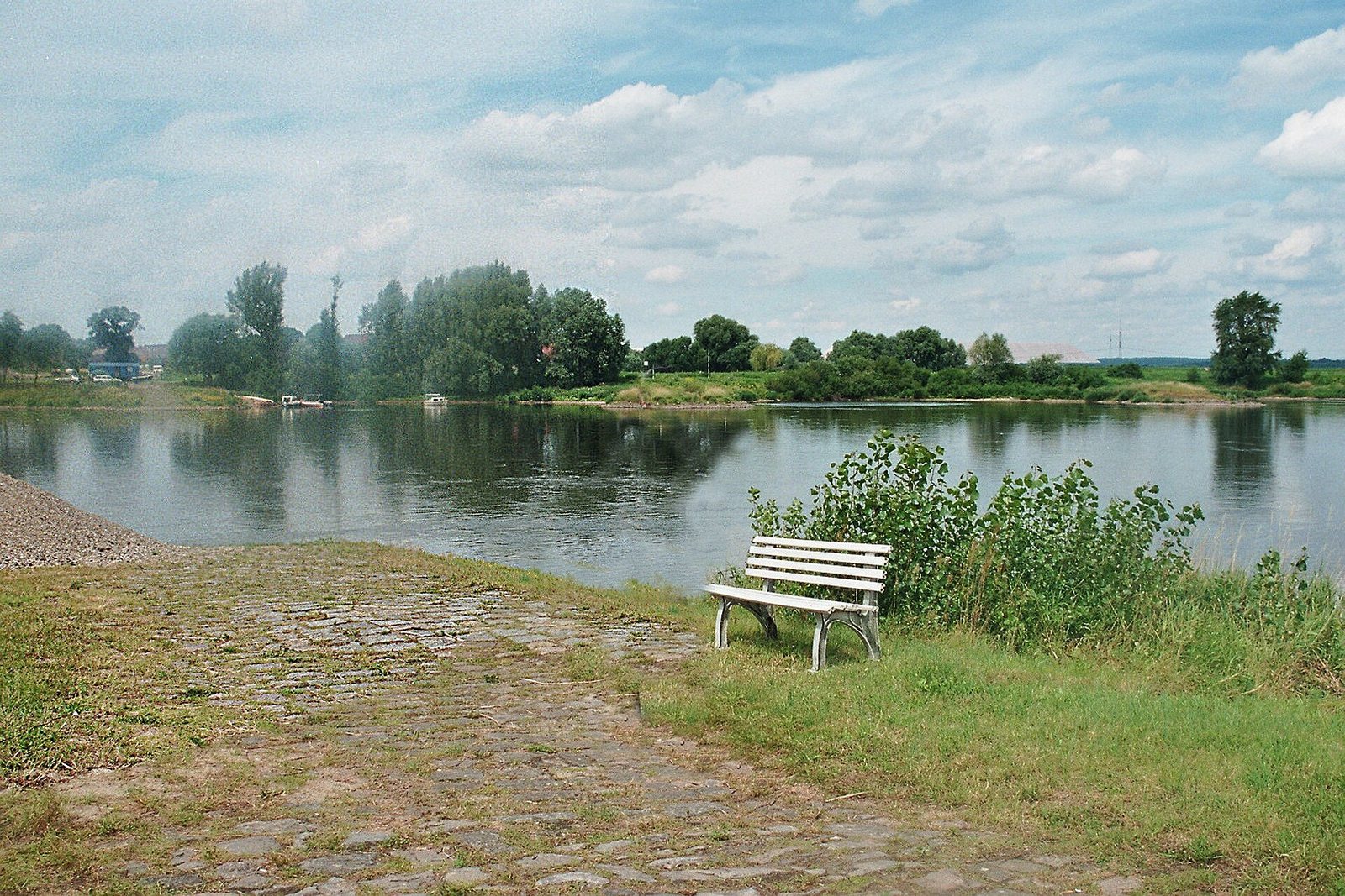 Die Elbe bei Niegripp mit flachem Wiesenufer, einem Baumsaum und einer Bank am Wasser.