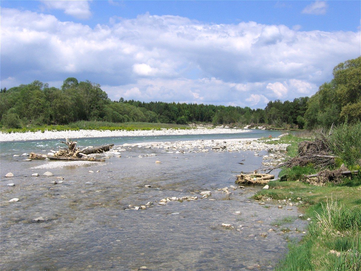 Die Isar bei Ascholding mit verzweigten Kiesbänken und flach überströmtem, klarem Wasser.