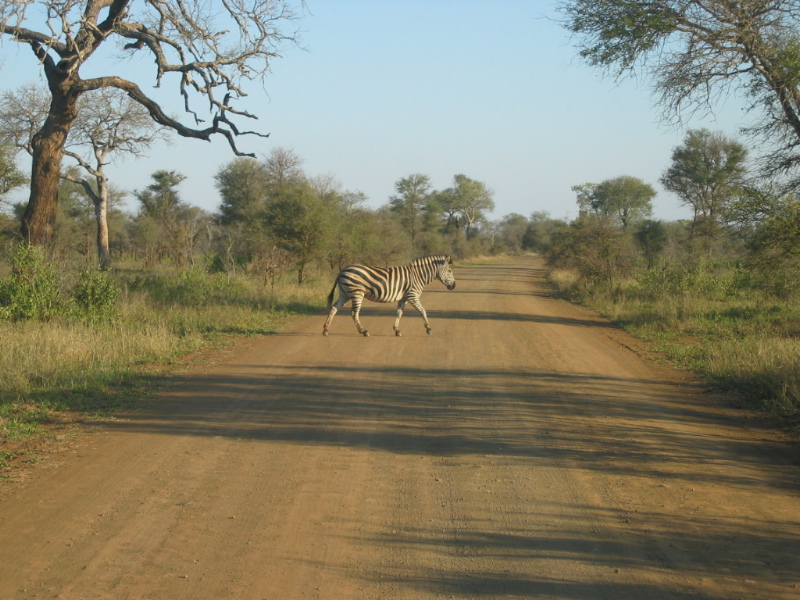 Landschaft in Südafrika